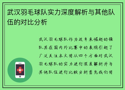 武汉羽毛球队实力深度解析与其他队伍的对比分析